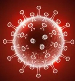 IMG_6624-ezgif.com-webp-to-jpg-converter