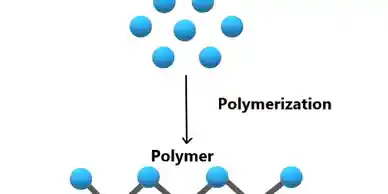 qtq_292-ezgif.com-webp-to-jpg-converter