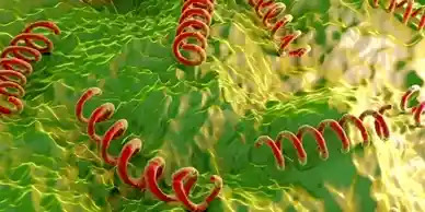 qtq_296-ezgif.com-webp-to-jpg-converter