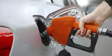 qtq_297-ezgif.com-webp-to-jpg-converter