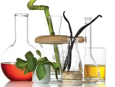 qtq_351-ezgif.com-webp-to-jpg-converter