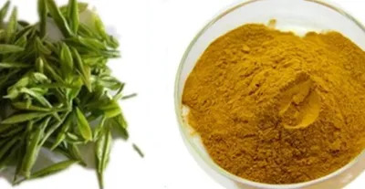 rsw_400cg_truem-ezgif.com-webp-to-jpg-converter